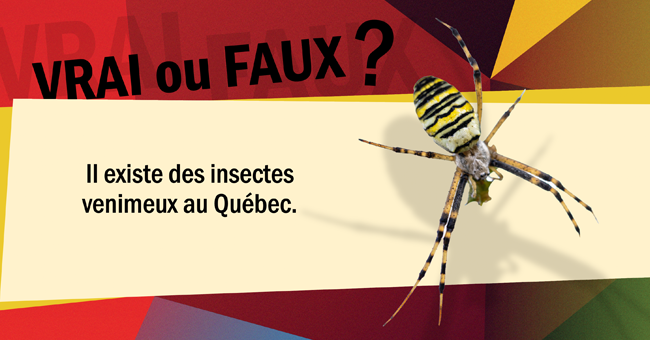 Mythes et croyances concernant la toxicologie
