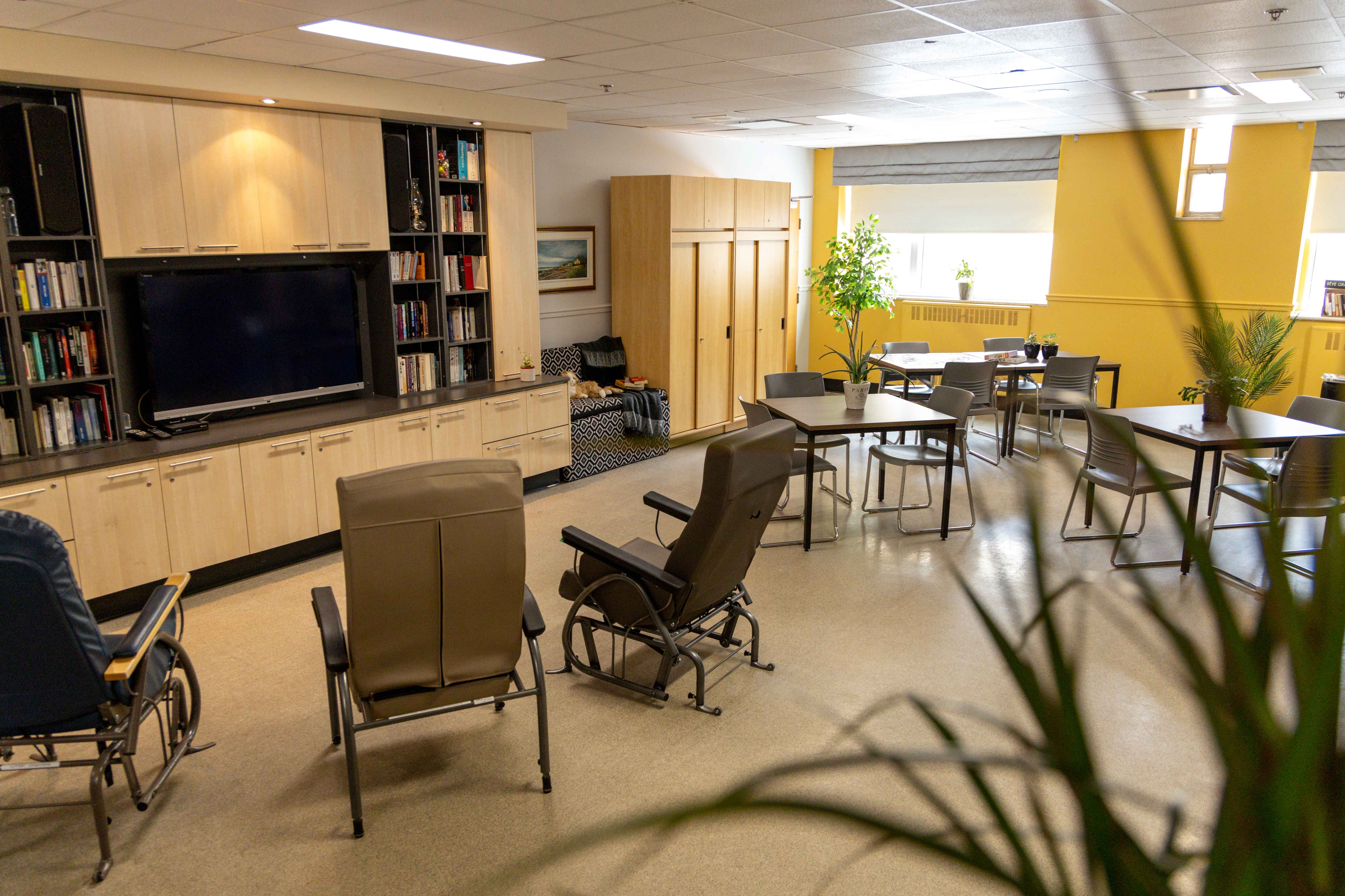 salon