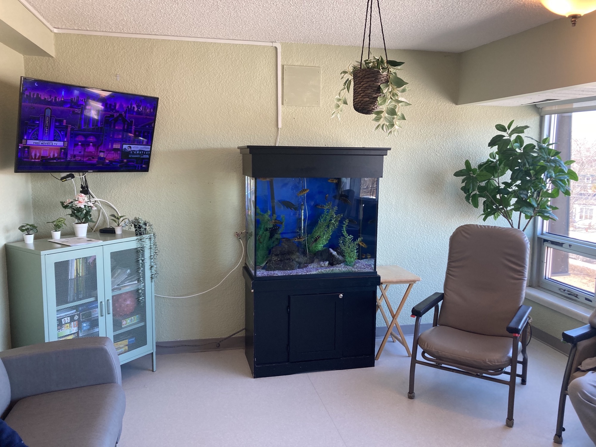 aquarium