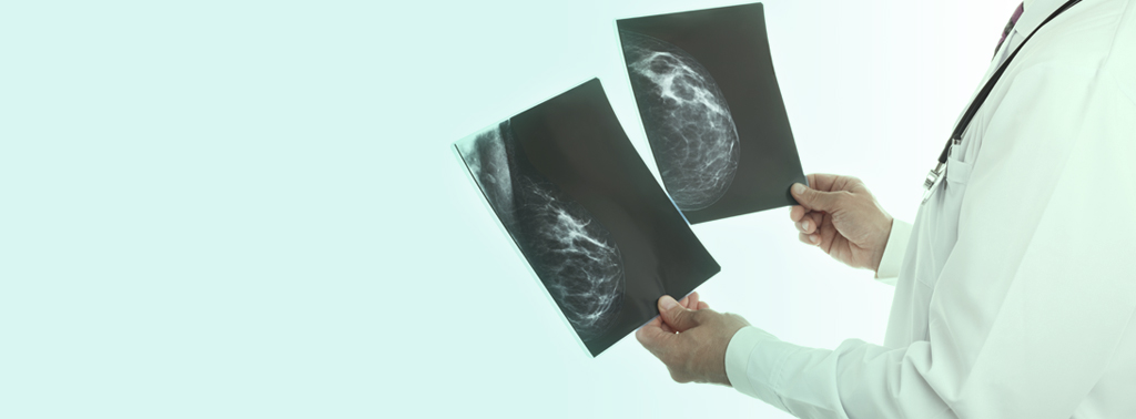 Vignette décorative de la section Échographie et radiographie